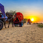 Camel cart ride in Pushkar, India