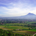 Merapi Volcano surrounded by rice fields in Java. 