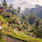 The Ubud countryside in Bali. 