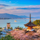Miyajima Island in Hiroshima, Japan