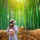 Bamboo forests in Kyoto, Japan
