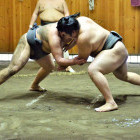 Sumo wrestlers in Japan