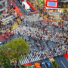 Shibuya Crossing in Tokyo, Japan