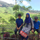 Family at the Boh Tea Estate in the Cameron Highlands, Malaysia