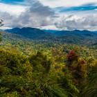 Taman Negara in Malaysia