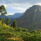 Bandarawela Ella Rock in Sri Lanka