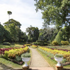 Botanical gardens in Kandy, Sri Lanka