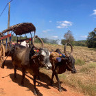 Hiriwadunna village visit in Sri Lanka.