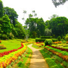 Peradeniya Royal Botanical Gardens in Sri Lanka