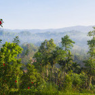 Sinharaja Rainforest in Sri Lanka