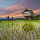 Hill tribe hut in Chiang Mai, Thailand