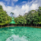Emerald Pool in Krabi, Thailand