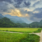 Cycling through rice paddies in Vietnam's countryside