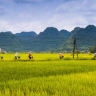 Women cycling in Vietnam's countryside