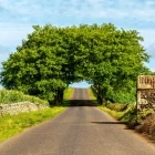 Rural road on Terceria, the Azores