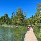 One of the walkways in Plitvice Lakes National Park, Croatia