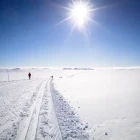 Skiers in Geilo, Norway