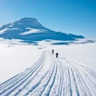 Skiers in Norway