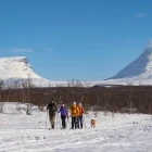 Cross country skiing in Sweden.