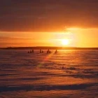 Ice fishing at sunset, in Sweden