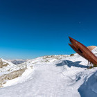 Dachstein Hai sculpture in Austria
