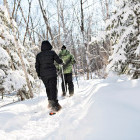 People snowshoeing in Austria