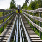 Summer toboggdan in Rittisberg, Austria