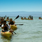 Sea kayaking in Croatia