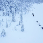 Husky sleigh ride in Finland