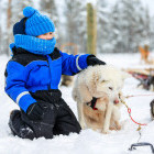 Child petting a husky in Finland