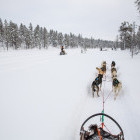 Husky ride in Finland