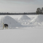 Igloos and husky in Hossa National Park, Finland