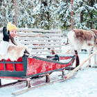 Reindeer ride in Finland
