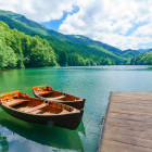 Biogradska Lake in Montenegro