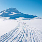 Family cross country skiing on a trail in Norway
