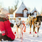 Girl with huskies in Norway