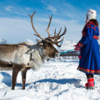 Sami woman and reindeer in Norway