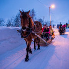 Horse drawn sleigh in Myrkdalen in Norway