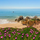 Flowers and beach at Albufeira in Portugal