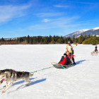 Dog sled activity in Slovakia