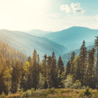 View of the Carpathian Mountains