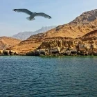 Coastline in Musandam, Oman