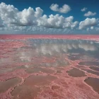 Pink lake at Las Colaradas, Mexico