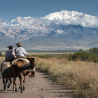 Gaucho in Argentina
