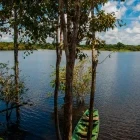 Boats in the Amazon Rainforest, Brazil