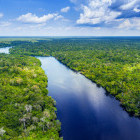 Aerial of the Amazon Rainforest in Brazil