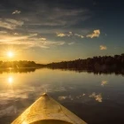 Amazon rainforest at sunset in Brazil