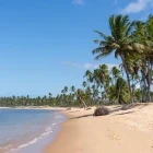 Beach in Praia do Forte, Brazil