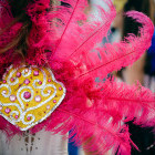 Rio de Janeiro Carnival costume