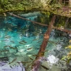 Rio Salobra in Brazil